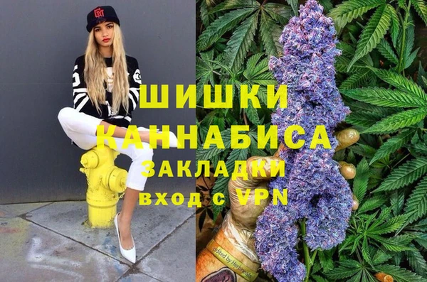 кокс Корсаков