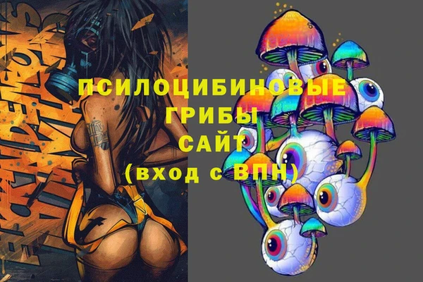 кокс Корсаков