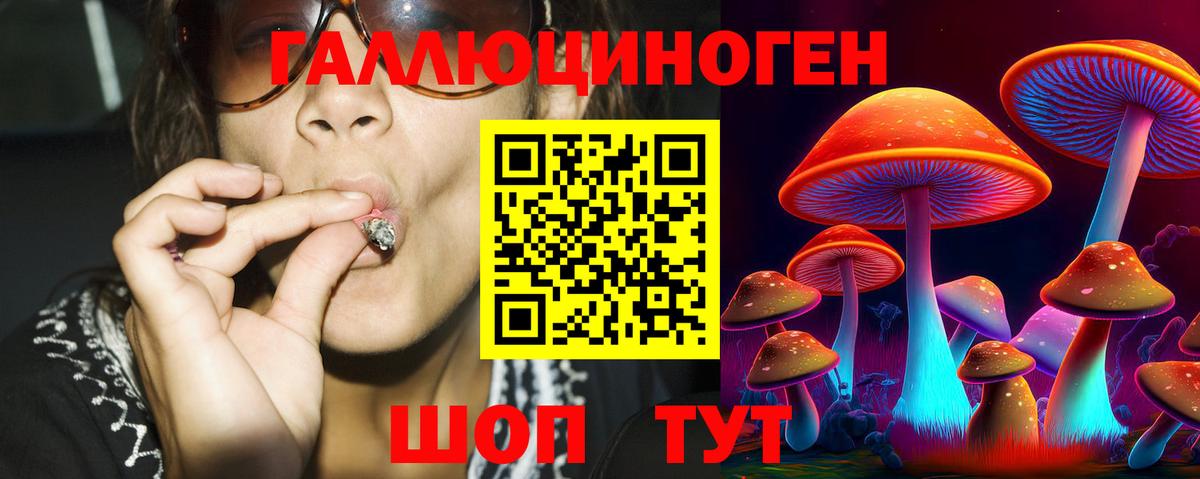 Псилоцибиновые грибы Psilocybine cubensis  Вход с VPN  Лабинск 